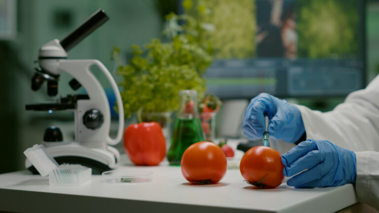 Analista de luvas azuis aplica seringa em tomate na bancada, ao lado de microscópio, pimentão e frasco de líquido verde