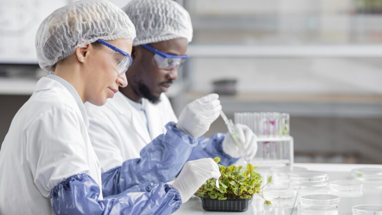 Profissionais de laboratório analisam amostras de vegetais para controle de qualidade e segurança alimentar.